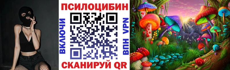 Галлюциногенные грибы Magic Shrooms  блэк спрут ссылки  Новоалтайск 